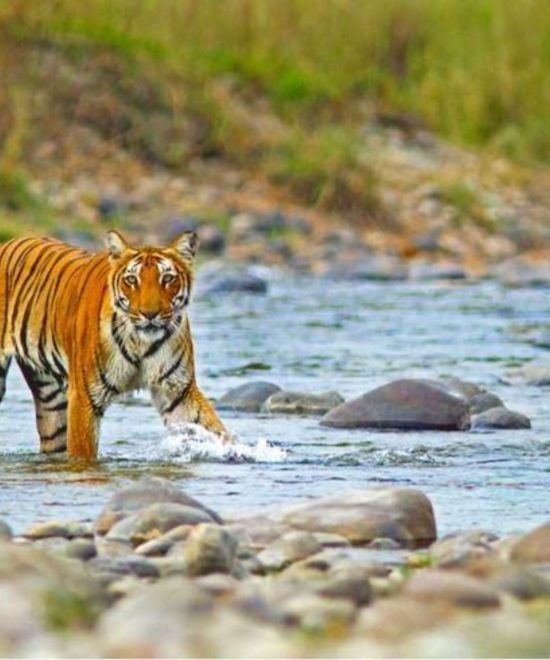  Uttrakhand dream valley