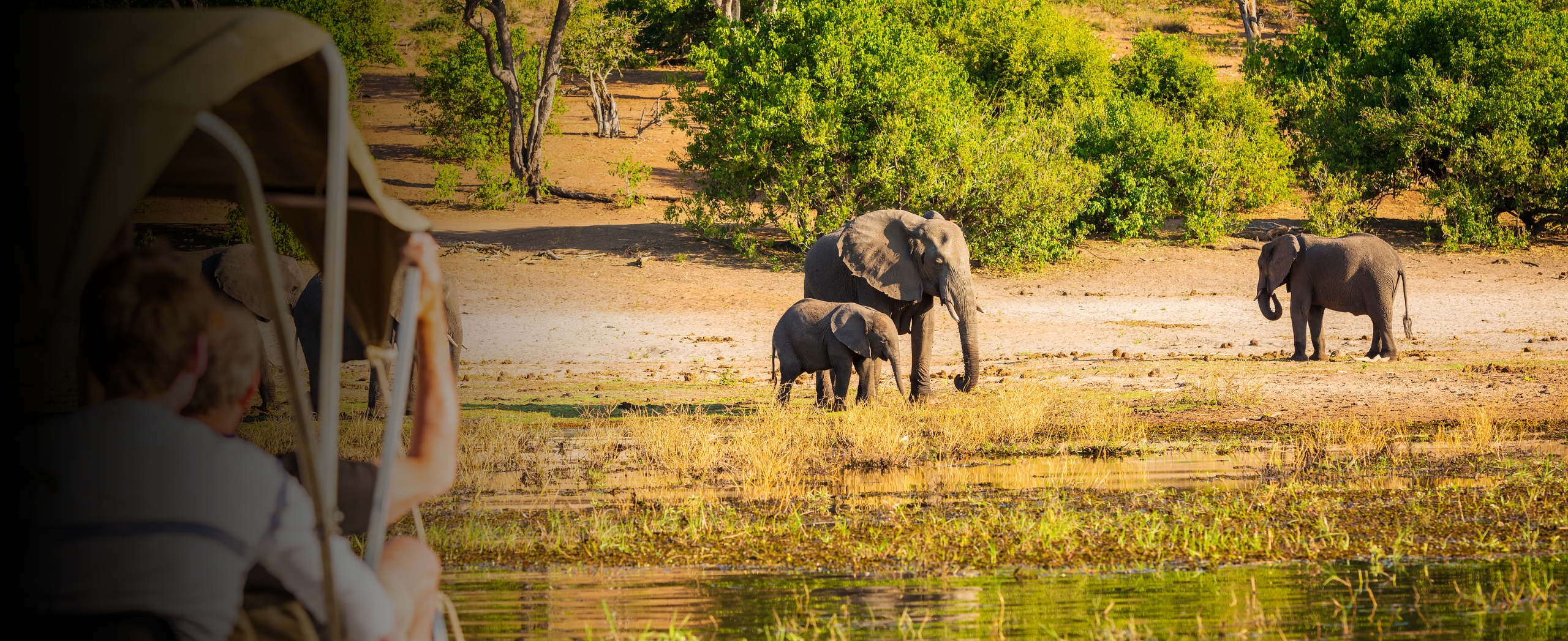 Adventure Packages|Uttarakhand Dream Valley