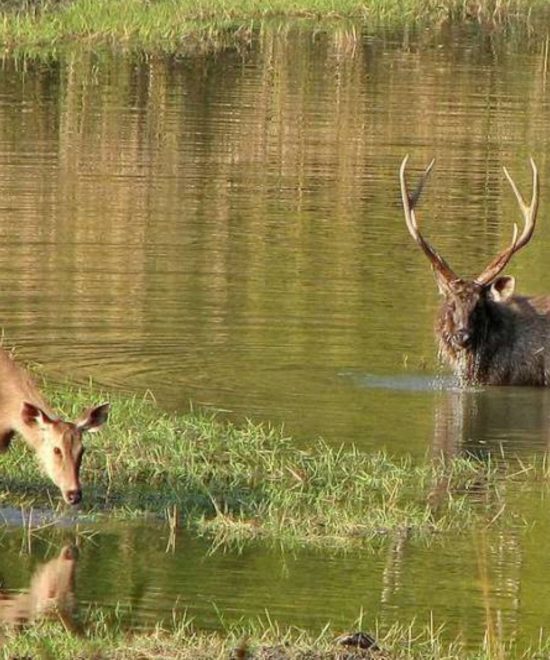  Uttrakhand dream valley