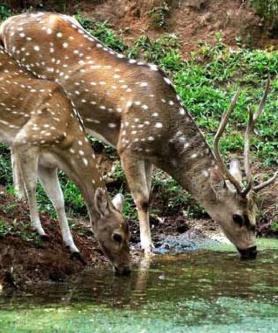 Uttrakhand dream valley
