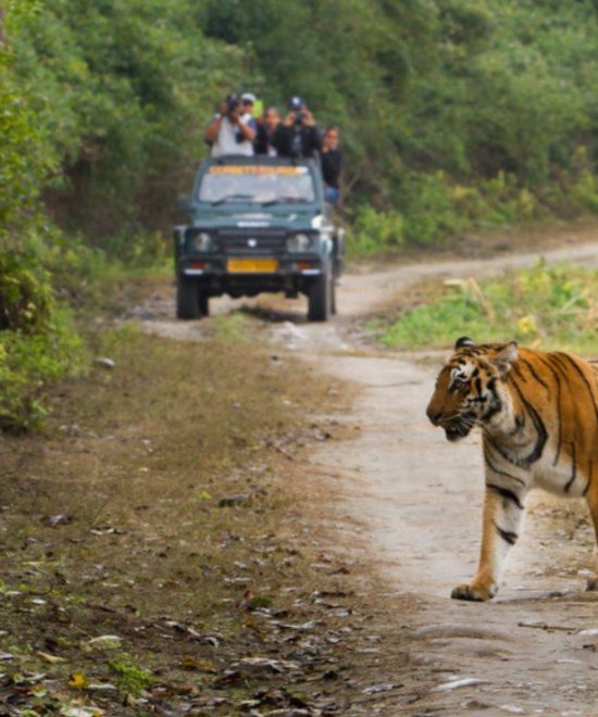  Uttrakhand dream valley